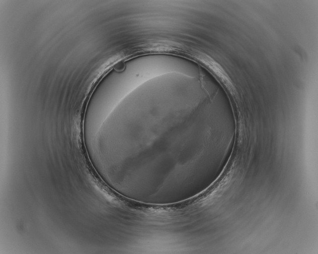 X0000112960850200909101631