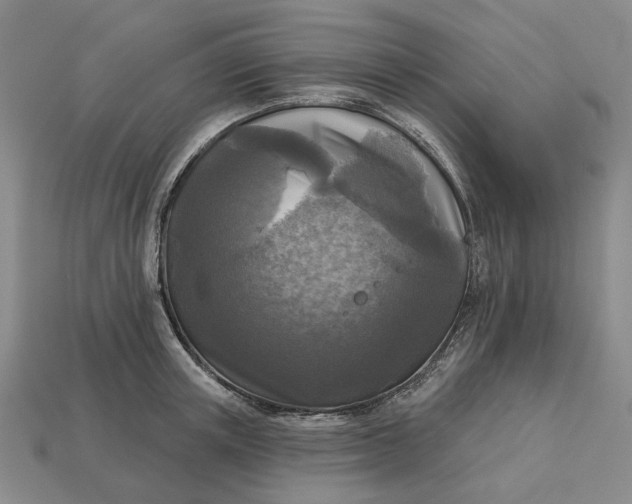 X0000112960851200909101631