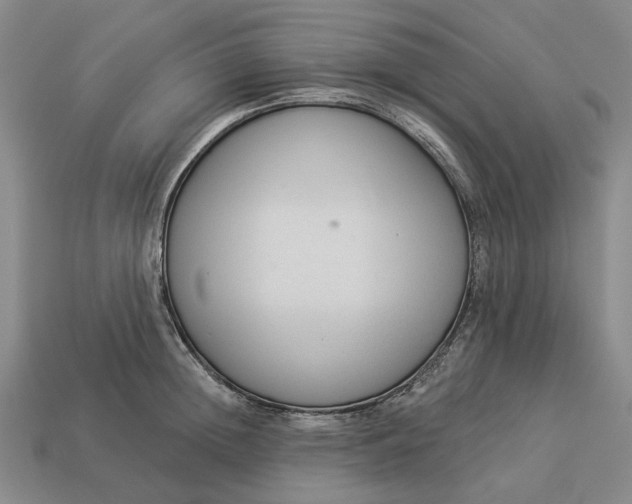 X0000112960852200909101631