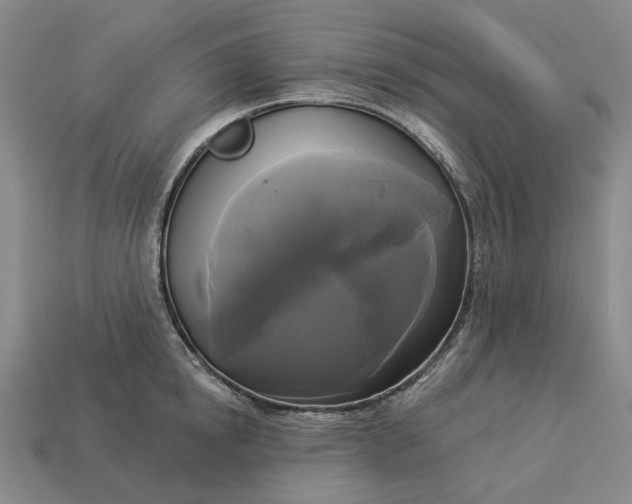 X0000112960854200909101631