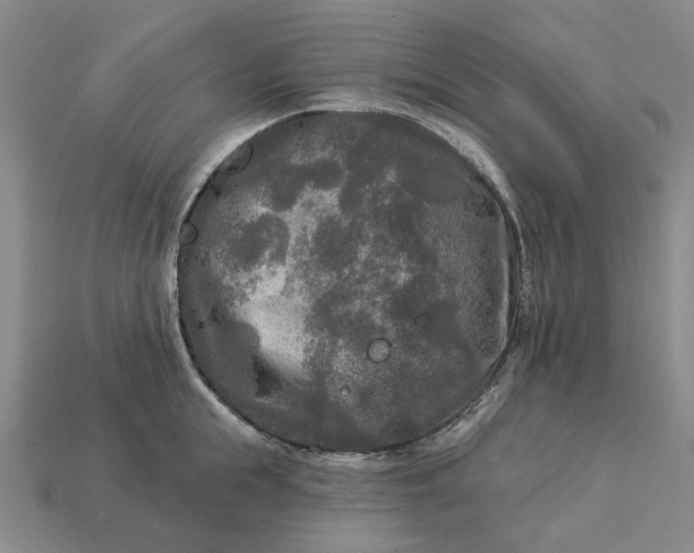 X0000112960855200909101631