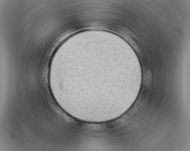 X0000112960856200909101631