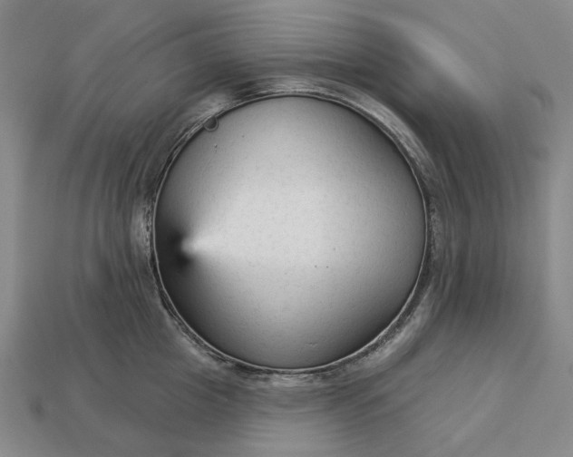 X0000112960857200909101631