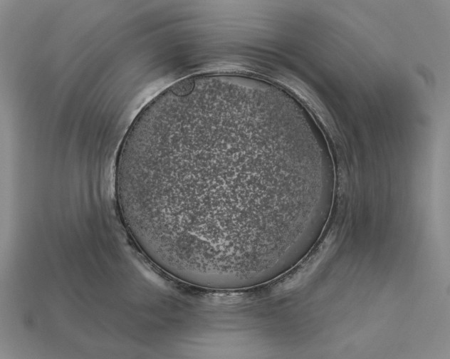 X0000112960858200909101631