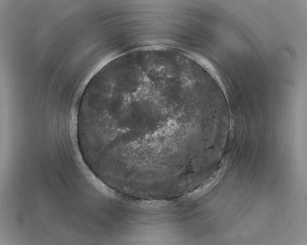 X0000112960859200909101631