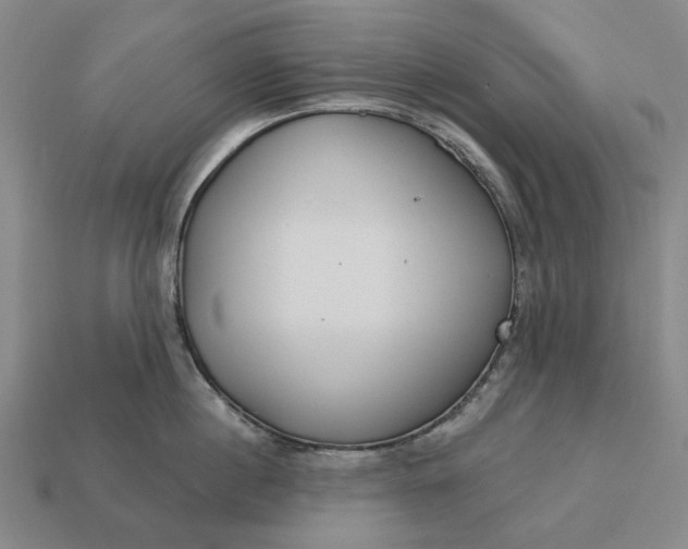 X0000112960860200909101631