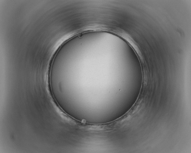 X0000112960861200909101631