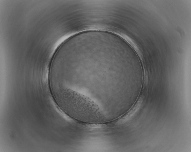 X0000112960862200909101631