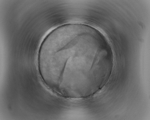 X0000112960864200909101631