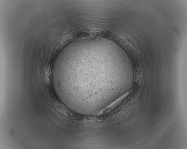 X0000112960866200909101630