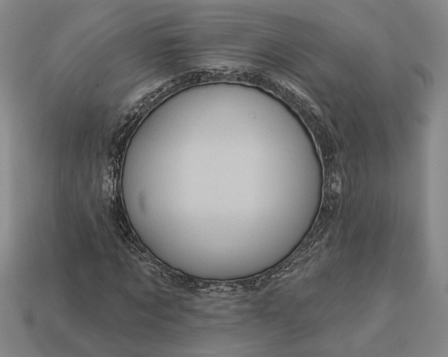 X0000112960869200909101630