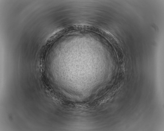 X0000112960870200909101630