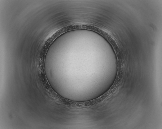 X0000112960871200909101630