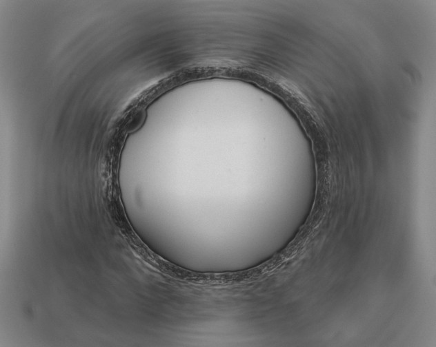 X0000112960872200909101630