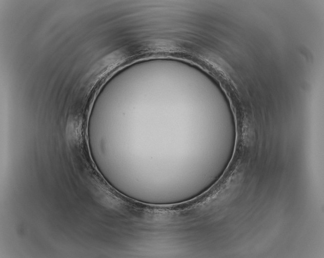 X0000112960873200909101630