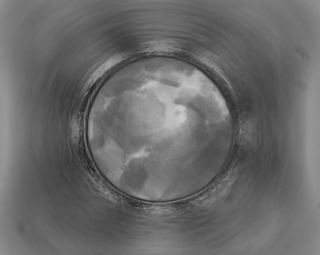 X0000112960874200909101630