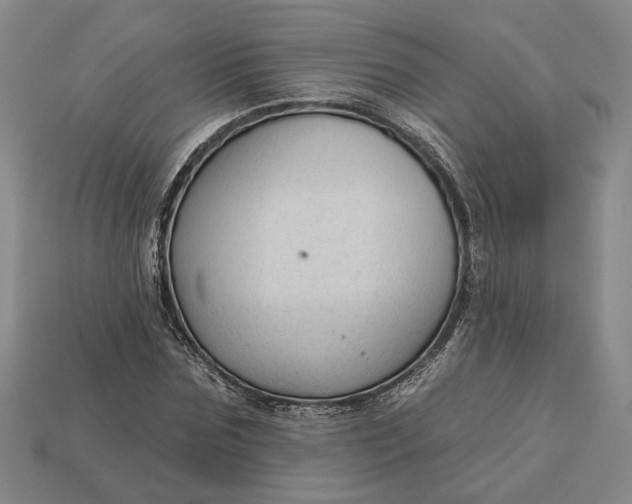 X0000112960875200909101630