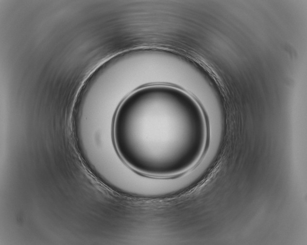 X0000112960876200909101630