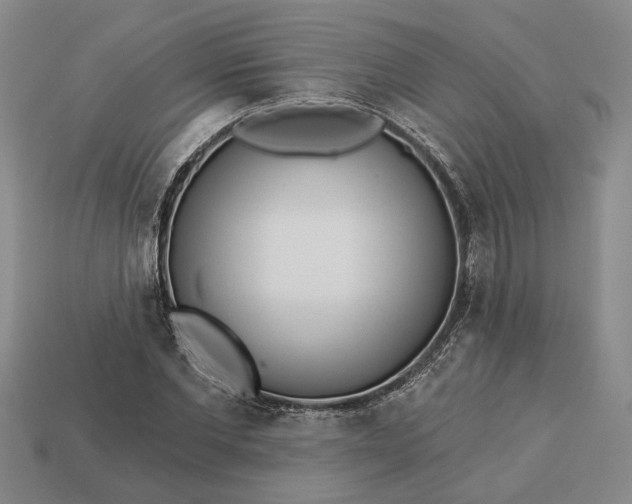 X0000112960877200909101630