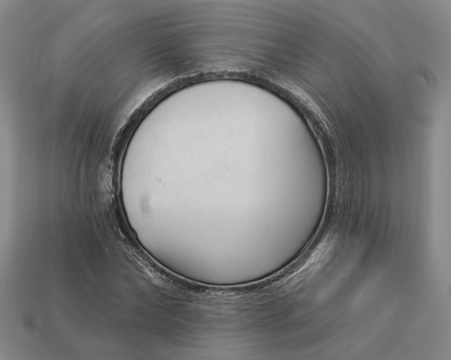 X0000112960878200909101630