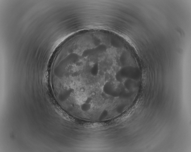 X0000112960879200909101630