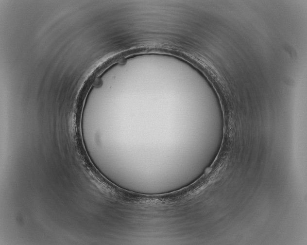 X0000112960880200909101630