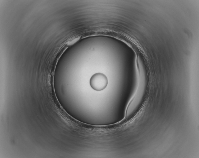 X0000112960881200909101630