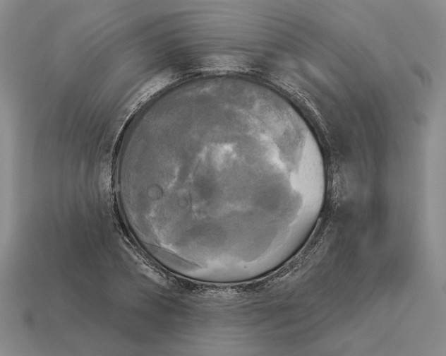 X0000112960882200909101630