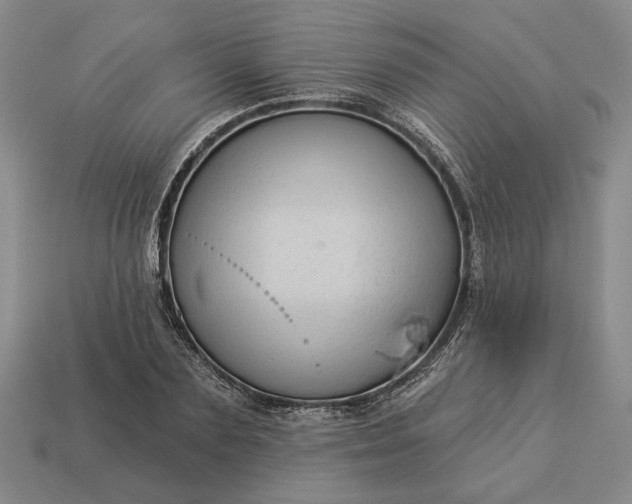 X0000112960883200909101630