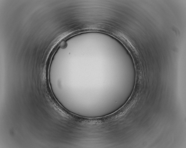 X0000112960884200909101630