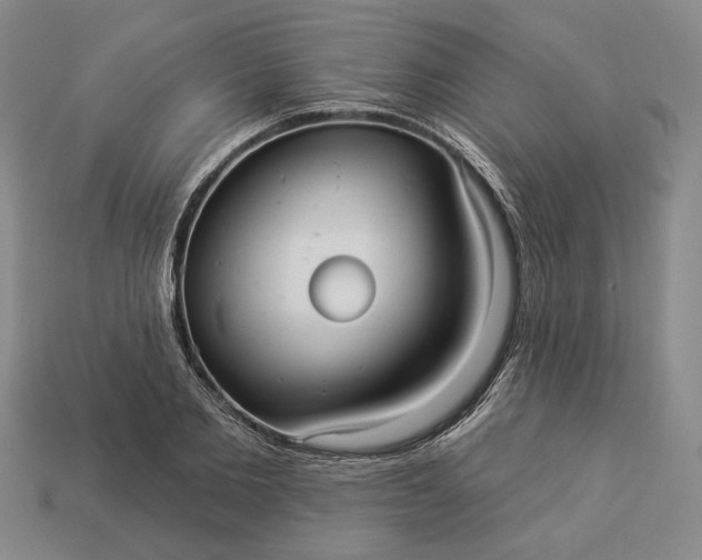 X0000112960885200909101630