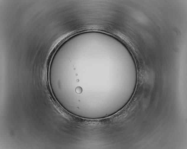 X0000112960886200909101630