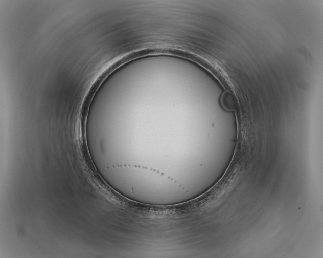 X0000112960887200909101630