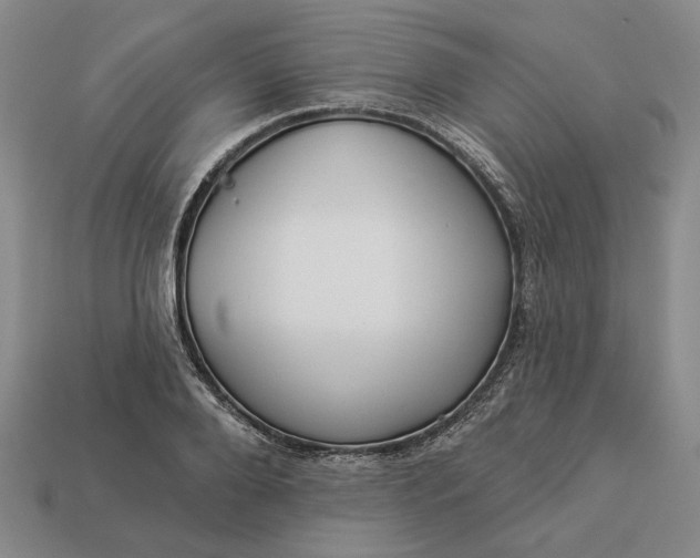 X0000112960888200909101630