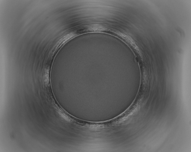 X0000112960889200909101630