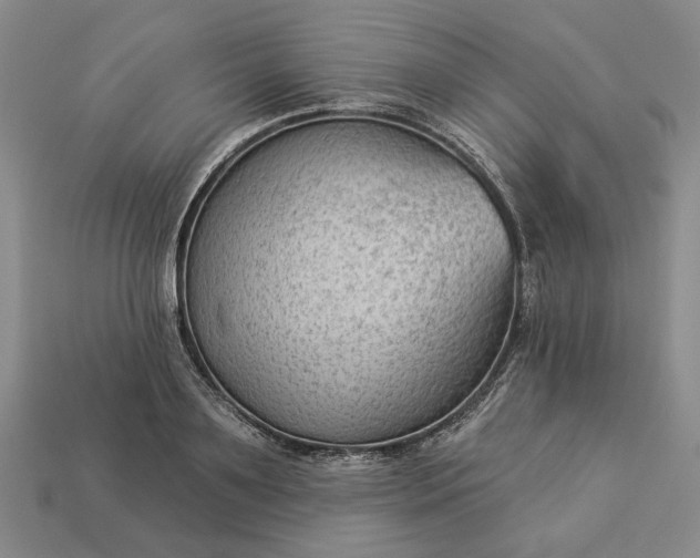 X0000112960891200909101630