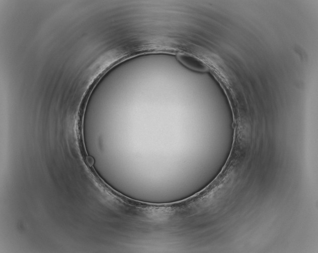 X0000112960893200909101630