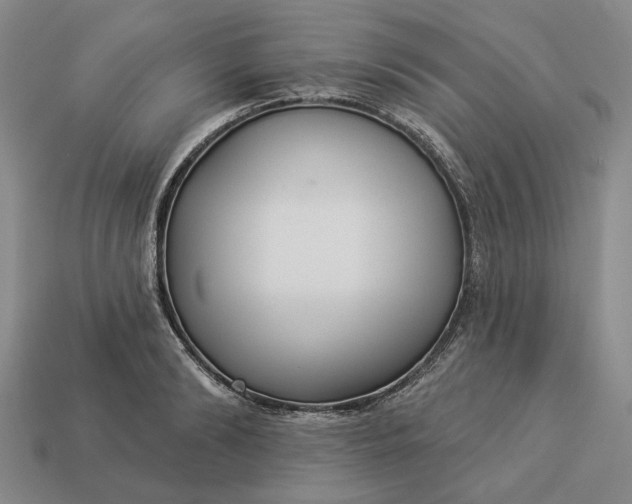 X0000112960894200909101630