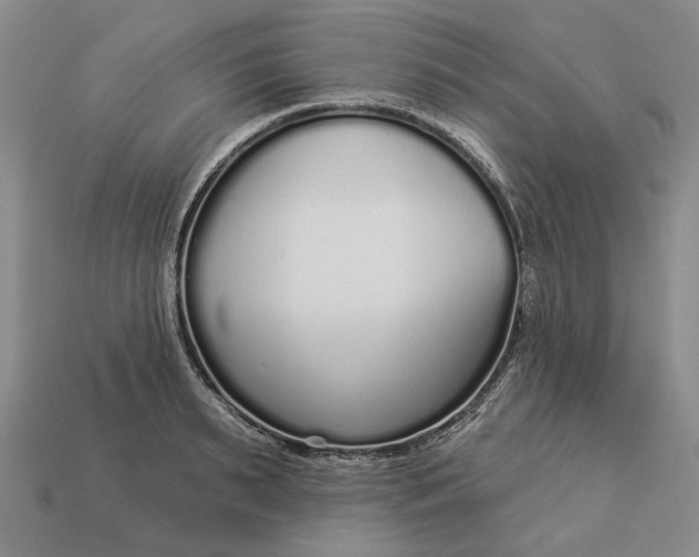 X0000112960895200909101630