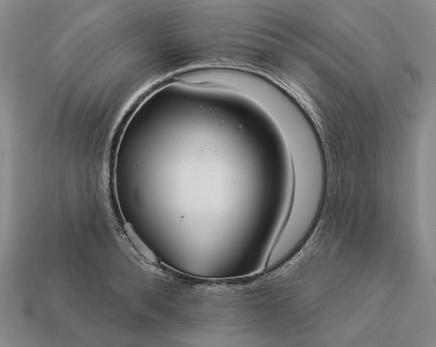 X0000112960896200909101630