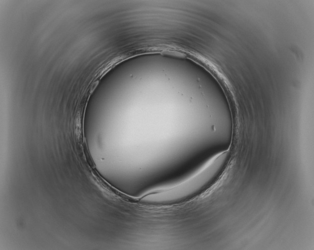 X0000112960897200909101630