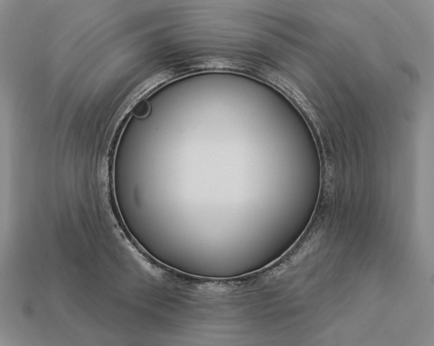 X0000112960898200909101630