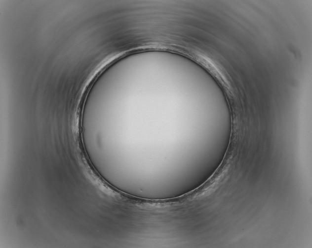 X0000112960900200909101630