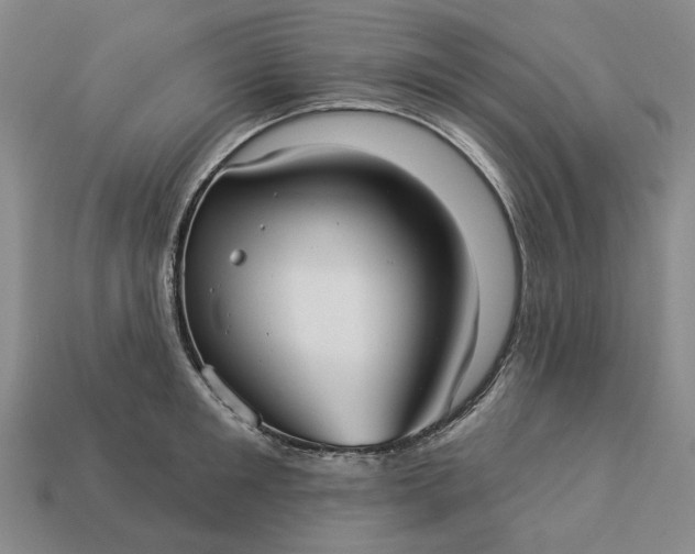 X0000112960901200909101630