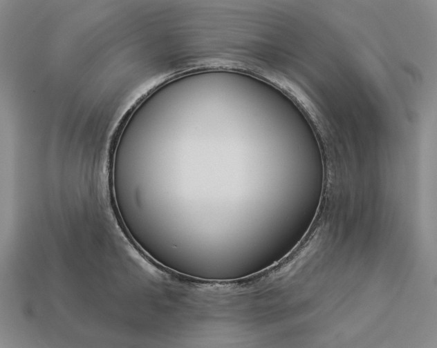 X0000112960902200909101630