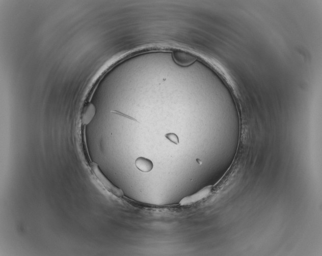 X0000112960903200909101630