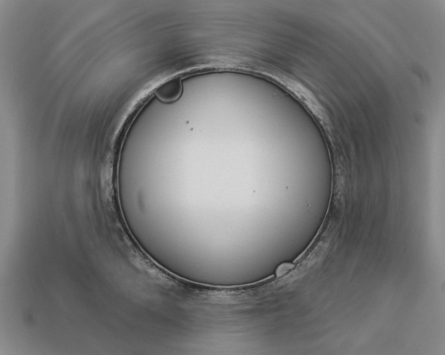 X0000112960904200909101630