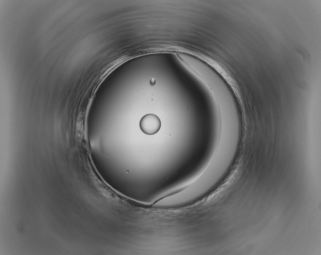 X0000112960905200909101630