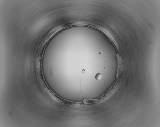 X0000112960906200909101630