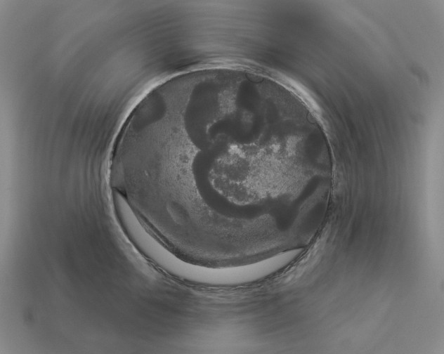 X0000112960907200909101630